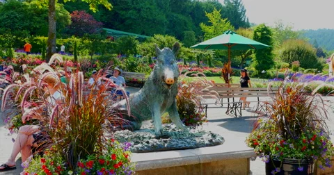 4K Bronze Boar Statue, Symbol of Good Luck Stock Footage 41544549