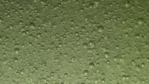 4K Bubbles on green background slow motion Stock Footage 128248925