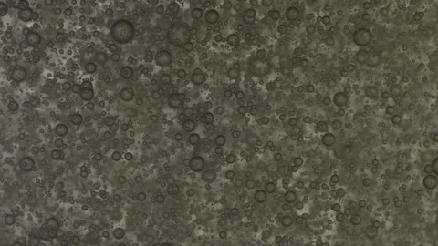 4K Bubbles on green background slow motion Stock Footage 128249807