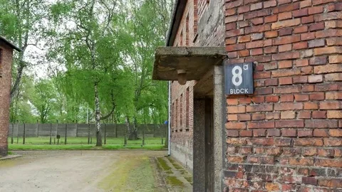 4K Building #8, Auschwitz Brick Building, Concentration Camp Close Up Stock Footage 69177773