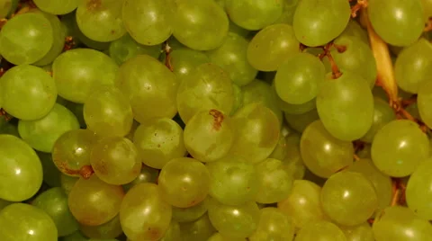 4k – Bunch of green grapes Video stock 55654680