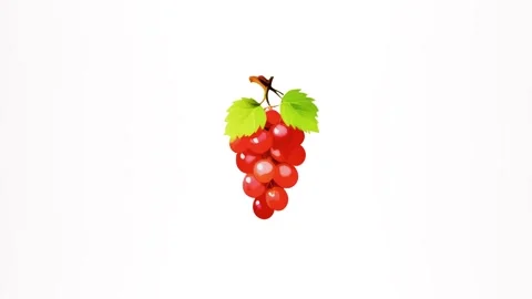 4k bunch of red grapes isolated on white background Stock Footage 288708888