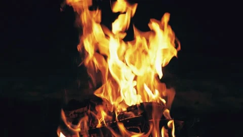 4k burning red hot bonfire trees at night. Fire close up. Orange flames on black Video stock 146441848