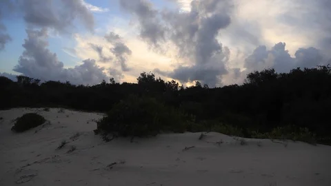 4K Bushy Beach Timelapse Video stock 86451174