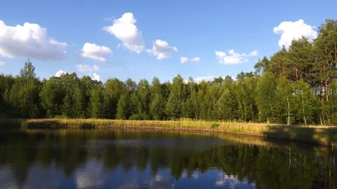 4K Calm Lake Reflection Blue Sky White Clouds Green Forest Daytime Sunlight.. Stock Footage 340155469