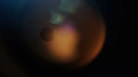 4K Camera aperture dilating as a succession of photos are taken, in slow motion Stock Footage 69786663