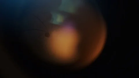 4K Camera aperture rapidly dilating as a succession of photos are taken Video stock 69786218