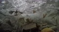 4K Camera between rocks and pebbles underwater as waves roll in Seaweed flows 4k or 4k+ Resolution