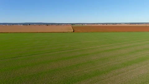 4K camera drone flying over a wheat crops field in rural area. Stock Footage 162623839