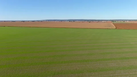 4K camera drone flying over a wheat crops field in rural area. Vídeos de archivo 163299446