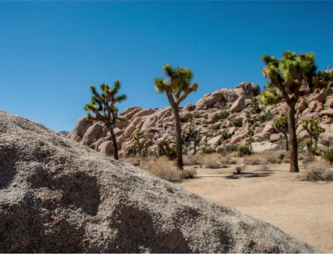 4k camera move over rock in Joshua Tree CA Stock-Footage 32693106
