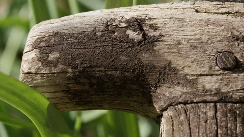 4K Camera pans across the handle of an old garden spade Stock Footage 73675131