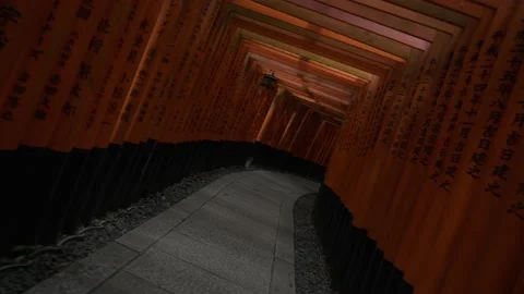 4K Camera Roll Twist Walking through Torii Gates at Fushimi Inari Shrine — Orang 스톡 동영상 150820952