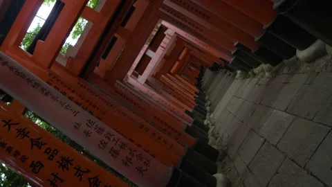 4K Camera Twist Roll Walking through Torii Gates at Fushimi Inari Shrine — Orang 스톡 동영상 150820479