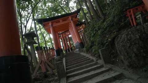 4K Camera Twist Roll Walking through Torii Gates at Fushimi Inari Shrine — Orang 스톡 동영상 150821708