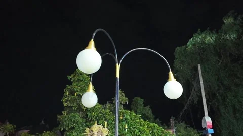 4K Camera video of classic street lamps glowing at night in park Stock Footage 325649142