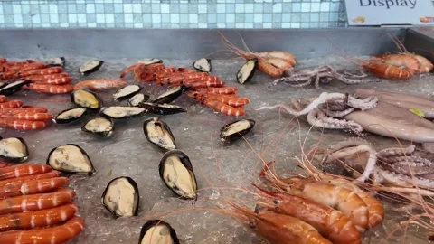 4K Camera video of fresh seafood on ice at buffet display Stock Footage 325720650