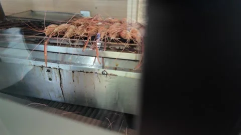 4K Camera video of grilled river prawns being cooked on charcoal stove Stock Footage 325720583