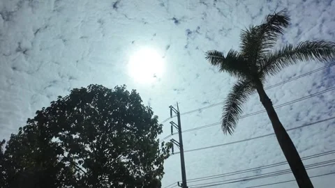 4K Camera video of palm trees and power lines under cloudy sky with sun Stock Footage 325720451