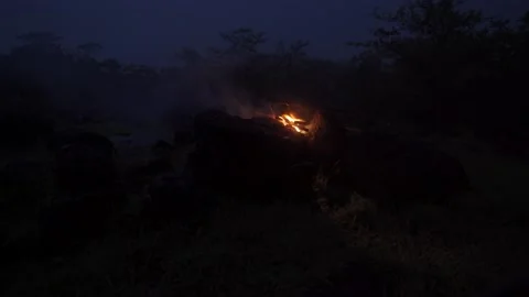 4K Camping Footage 库存影片 157265275