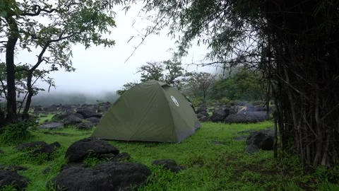 4K Camping Footage 库存影片 157265481
