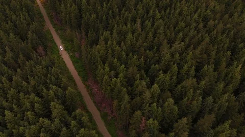 4K Car Drives Through Thick Rain Forest Park Longshot Aerial Stock Footage 111110613
