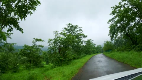 4K Car POV of road covered with green trees and grass during monsoon season. Clo Vidéo 306856074