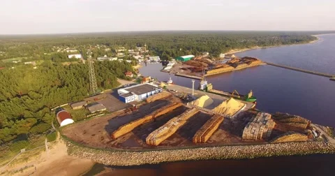 4K - Cargo port. Timber Stock Footage 67583288