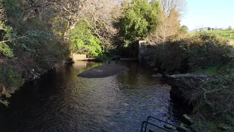 4K Cathole Falls Forest River in Ireland Stock Footage 333412471