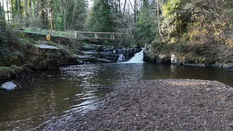 4K Cathole Falls Waterfall and Forest River in Ireland Видео 333412484