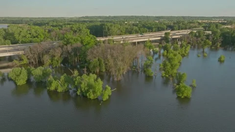 4K CCW Orbiting Drone Shot Of Submerged Trees In Flooded Fisher Lake Savage MN Stock Footage 278380528