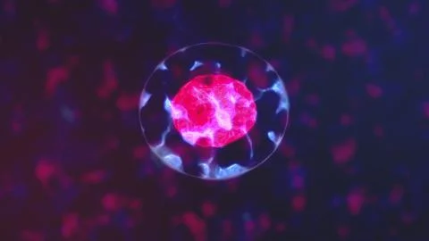 4K Cell Division. Cellular Division Under Microscope. Meiosis and mitosis Stock Illustration