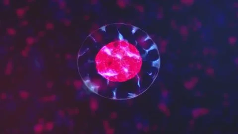 4K Cell Division. Cellular Division Under Microscope. Meiosis and mitosis Illustrazione stock