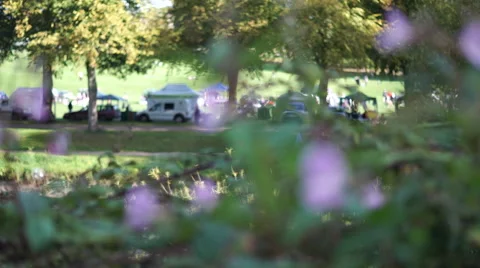 4K changing focus from people walking to flowers close by Stock Footage 55573010