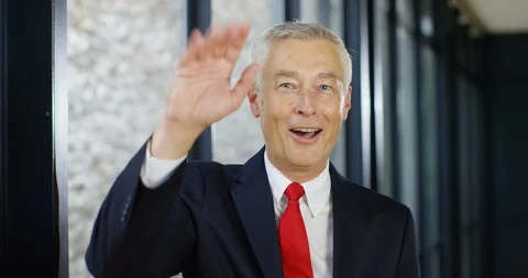 4K Cheerful business manager talking on video conference call in his office Stock Footage 101417177