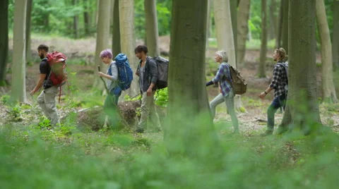 4K Cheerful group of hipster friends hiking in the woods together Stock Footage