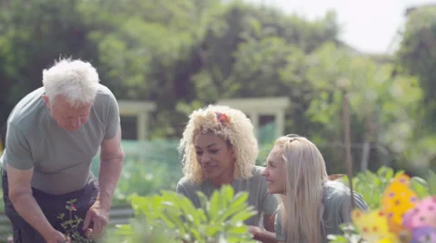 4K Cheerful volunteers of mixed ages working together in community garden Stock Footage