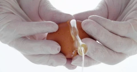4K - Chef breaks a chicken egg. bottom view Stock Footage 110902979