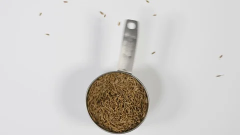 4K  chef checking spices caraway seeds in cup spinning against white background Stock Footage 88481563