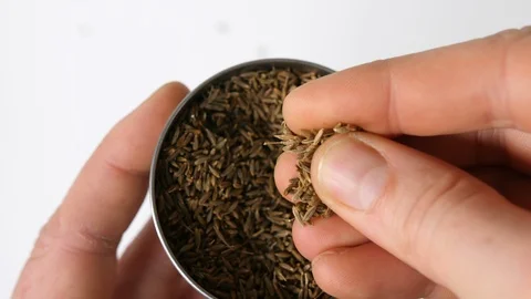 4K  chef checking spices caraway seeds in cup against white background Stock Footage 88481732