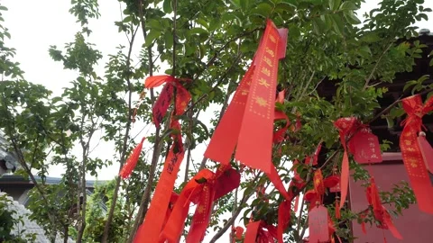 4K Chinese Ancient temple tree of wishing cards Stock Footage 279324322