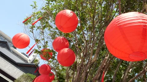 4K Chinese red lanterns on the tree Stock Footage 279325114