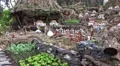4k Christmas market decoration in Funchal and Madeira 4k or 4k+ Resolution