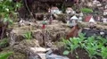 4k Christmas market decoration in Funchal and Madeira 4k or 4k+ Resolution