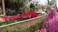 4k Christmas market decoration life-size figures Funchal Madeira 4k or 4k+ Resolution
