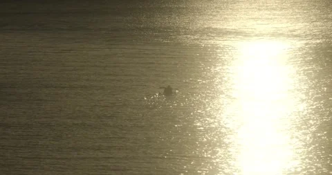 4k cinametic shot of kayaking at sunset Stock Footage 292644072