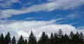 4K Cine clouds over forest time lapse 4k or 4k+ Resolution