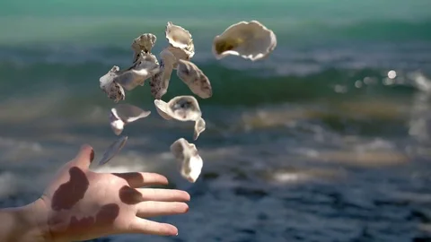 4K Cinemagraph loop, waves at an island beach, hand throwing shells in the air. Video stock 81900387