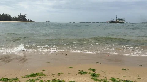 4K Cinematic Beach with Seaweed Texture and Distant Passing Ship Stockbeeldmateriaal 332042338