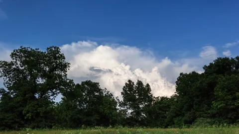 4K Cinematic Cumulus Storm Developing Timelapse - Prores Stock Footage 319858031